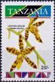 Colnect-4569-692-Leopard-Orchid-Anselia-africana.jpg