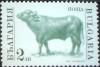 Colnect-1813-991-Bull-Bos-primigenius-taurus.jpg