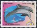 Colnect-2861-481-Common-Bottlenose-Dolphin-Tursiops-truncatus.jpg