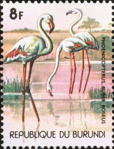 Colnect-4835-404-FlamingosPhoenicopterus-roseus.jpg