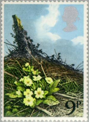Colnect-122-113-Primrose-Primula-vulgaris.jpg