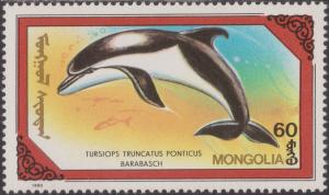 Colnect-1485-845-Common-Bottlenose-Dolphin-Tursiops-truncatus.jpg