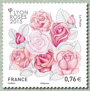 Colnect-2693-549-Lyon-roses-2015---Roses-076.jpg
