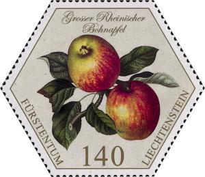 Colnect-4345-323-Apples---Grosser-Rheinischer-Bohnapfel.jpg