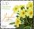 Colnect-6335-343-Primrose-Primula-vulgaris.jpg