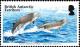 Colnect-3521-057-Southern-Bottlenose-Whale-Hyperoodon-planifrons.jpg