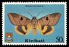 Colnect-1095-207-Moth-Anua-coronata.jpg