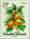 Colnect-136-619-Apricot-Prunus-armeniaca.jpg