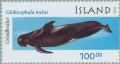 Colnect-165-415-Long-finned-Pilot-Whale-Globicephala-melaena.jpg