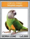 Colnect-3565-904-Senegal-Parrot%C2%A0-%C2%A0Poicephalus-senegalus.jpg