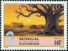 Colnect-2189-045-Race-Route-by-a-Baobab-Tree.jpg