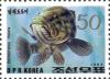 Colnect-2657-537-Kelp-Grouper-Epinephelus-moara.jpg