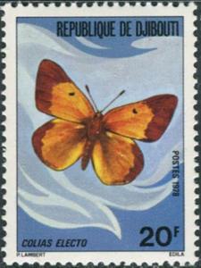 Colnect-2799-964-African-Clouded-Yellow-Colias-electo.jpg