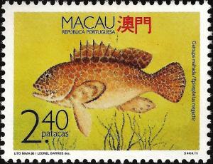 Colnect-1484-475-Honeycomb-Grouper-Epinephelus-megachir-.jpg