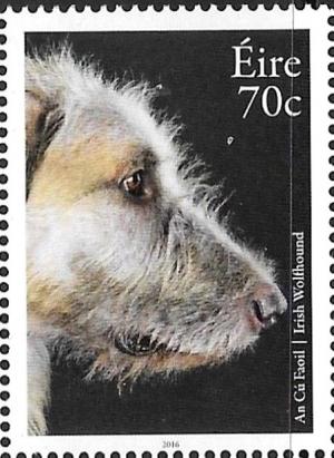 Colnect-3441-178-Irish-Wolfhound-Canis-lupus-familiaris.jpg