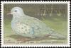 Colnect-1753-962-Common-Ground-Dove-nbsp-Columbina-passerina--.jpg