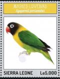 Colnect-3565-910-Yellow-collared-Lovebird%C2%A0-%C2%A0Agapornis-personatus.jpg