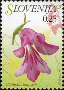 Colnect-712-507-Flowers-of-Slovenia---Gladiolus-palustris.jpg