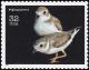 Colnect-5106-740-Piping-Plover-Charadrius-melodus-.jpg