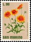 Colnect-1874-665-Blanketflower-Gaillardia-aristata.jpg
