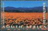 Colnect-2220-827-Flowers-Namaqualand.jpg