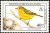 Colnect-2620-873-American-Yellow-Warbler-Dendroica-petechia.jpg