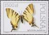 Colnect-4701-536-Scarce-Swallowtail-Iphiclides-podalirius.jpg