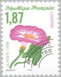 Colnect-146-584-Buckwheat-flower---Calystegia-pulchra-.jpg