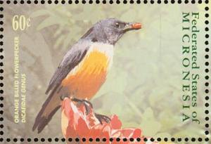 Colnect-1620-570-Orange-bellied-Flowerpecker-Dicaeum-trigonostigma.jpg