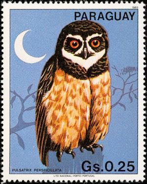 Colnect-1724-416-Spectacled-Owl-Pulsatrix-perspicillata.jpg