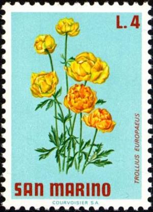 Colnect-1874-660-Globe-Flower-Trollius-europaeus.jpg