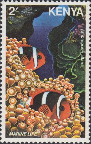 Colnect-2212-831-Allard-s-Clownfish-Amphiprion-allardi-.jpg