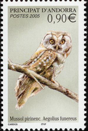 Colnect-2482-692-Boreal-Owl-Aegolius-funereus-.jpg