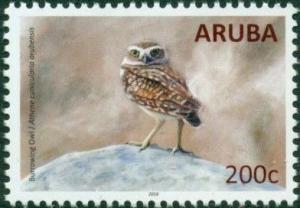 Colnect-3283-024-Aruba-Burrowing-Owl-Athene-cunicularia-arubensis.jpg