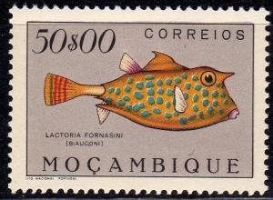 Colnect-595-010-Thornback-Cowfish-Lactoria-fornasini.jpg