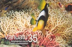 Colnect-609-954-Yellowtail-Clownfish-Amphiprion-clarkii-.jpg
