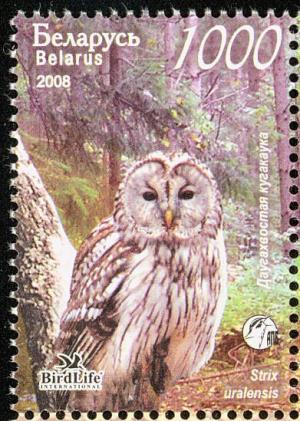 Colnect-857-430-Ural-Owl-Strix-uralensis.jpg