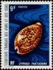 Colnect-792-325-Panther-Cowry-Cypraea-pantherina.jpg