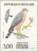Colnect-145-587-Eurasian-Sparrowhawk-Accipiter-nisus-nisus-.jpg