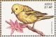 Colnect-1646-481-American-Yellow-Warbler-Dendroica-petechia.jpg