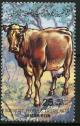 Colnect-1921-585-Domestic-Cow-Bos-primigenius-taurus.jpg