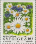 Colnect-164-781-Ox-eyed-daisies.jpg