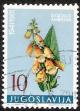 Colnect-1261-591-Big-flowered-Foxglove-Digitalis-grandiflora.jpg