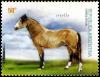 Colnect-3111-766-Criollo-Equus-ferus-caballus.jpg