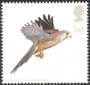 Colnect-1800-079-Common-Kestrel-Falco-tinnunculus-with-Wings-horizontal.jpg