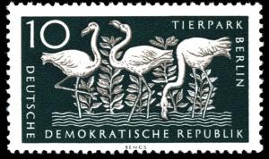 Colnect-1969-861-Greater-Flamingo-Phoenicopterus-ruber-roseus-.jpg
