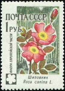 Soviet_Union_stamp_1960_CPA_2501.jpg