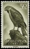 Colnect-1398-446-Eurasian-Sparrowhawk-Accipiter-nisus.jpg