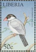 Colnect-1641-863-Java-Sparrow-Padda-oryzivora.jpg