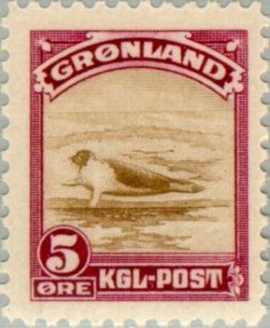 Colnect-158-129-Harp-Seal-Pagophilus-groenlandicus.jpg